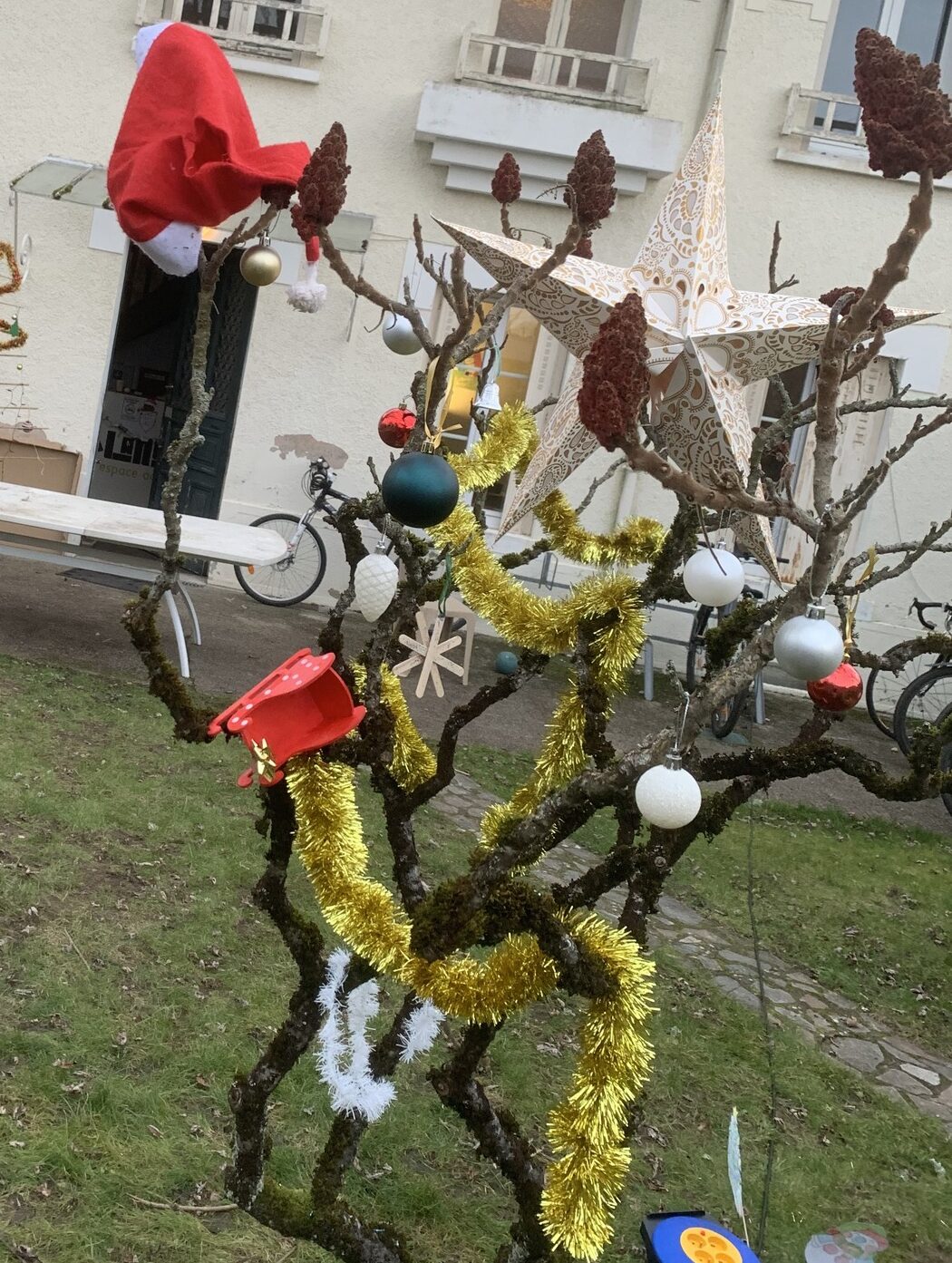 ✨Vacances de Noël 2024🎄